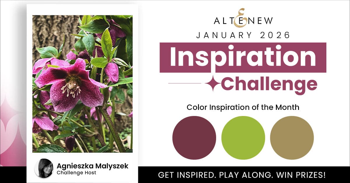 January 2026 Inspiration Challenge