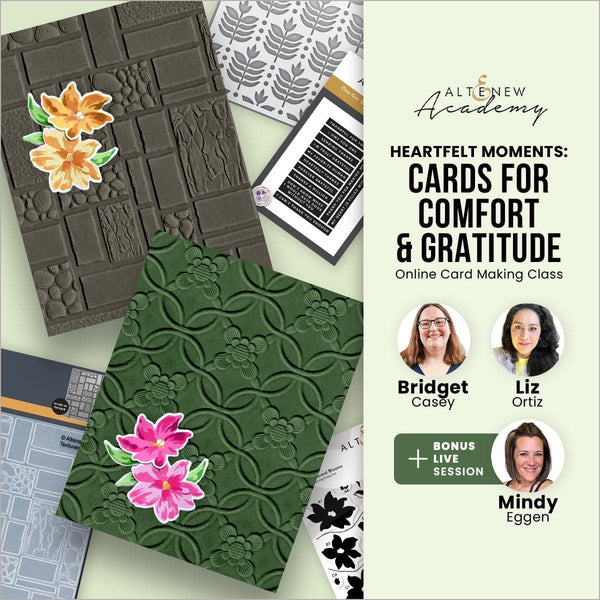 Heartfelt Moments: Cards for Comfort & Gratitude