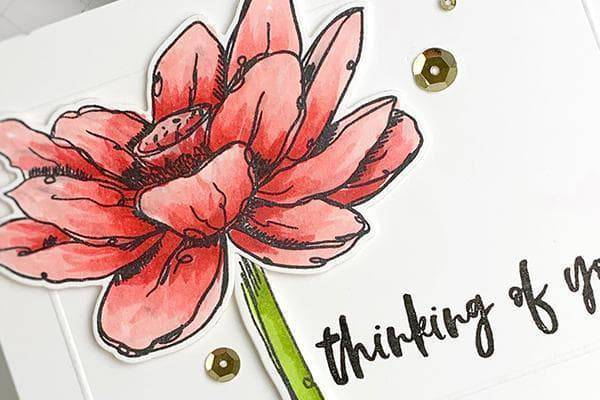 Altenew Class Quick & Simple Cards for Everyday Crafting Online Cardmaking Class