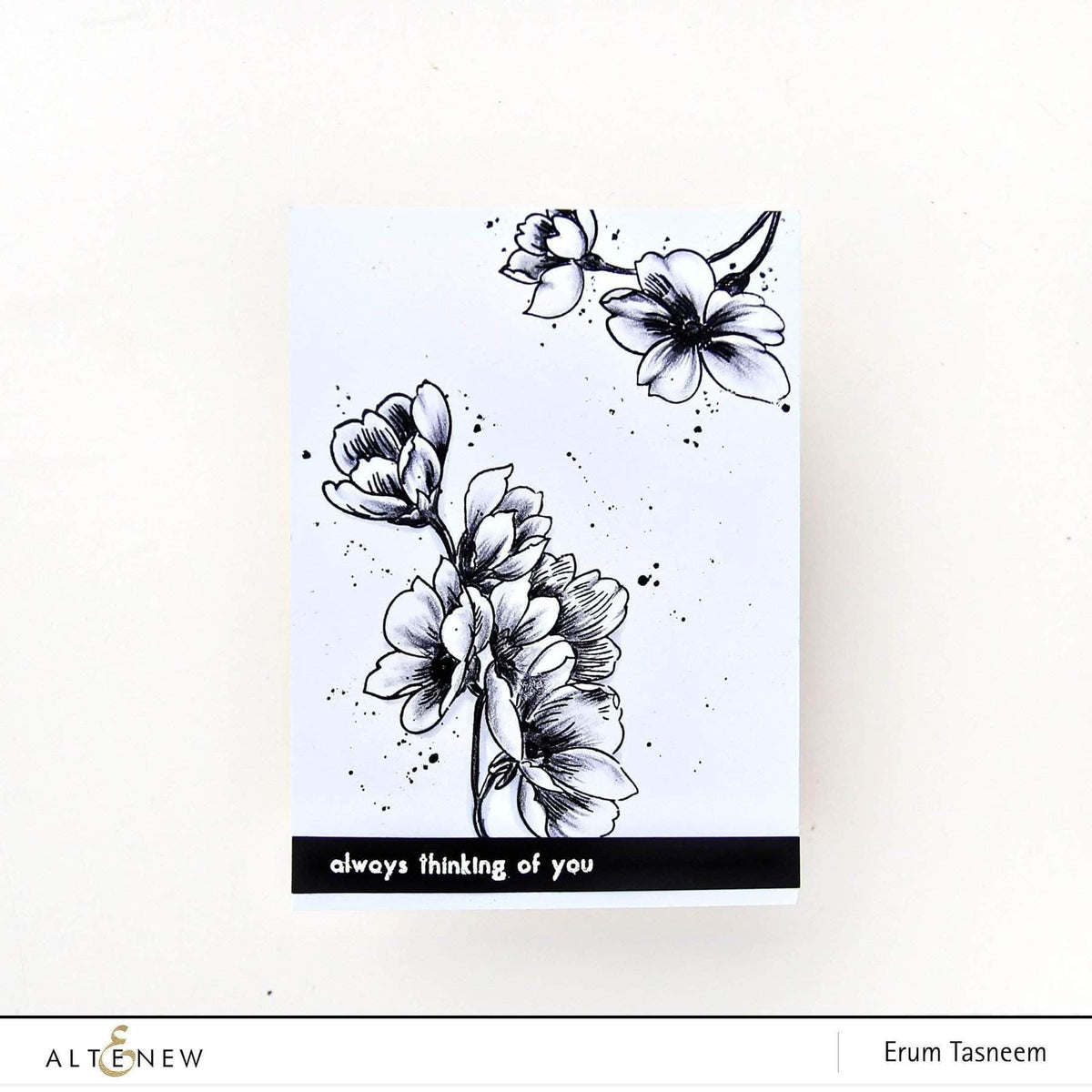 Altenew Creativity Kit Featurette Spotlight Die-Cutting Class