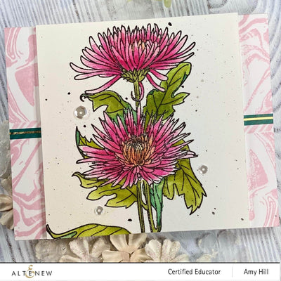 Photocentric Clear Stamps Paint-A-Flower: Spider Mums Outline Stamp Set
