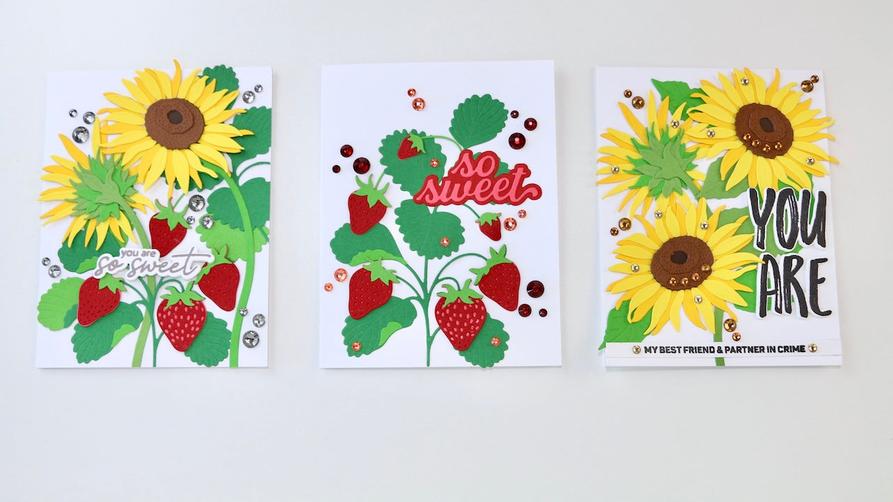 The featured photo shows all three cards side by side 