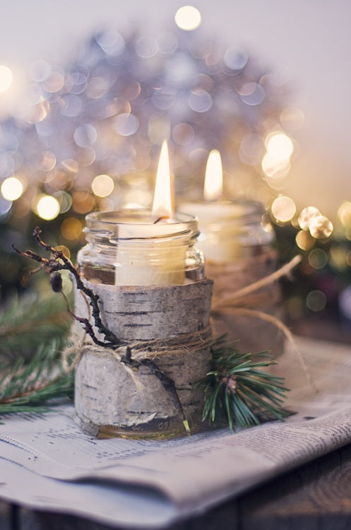 Focus: Poinsettia and Pine