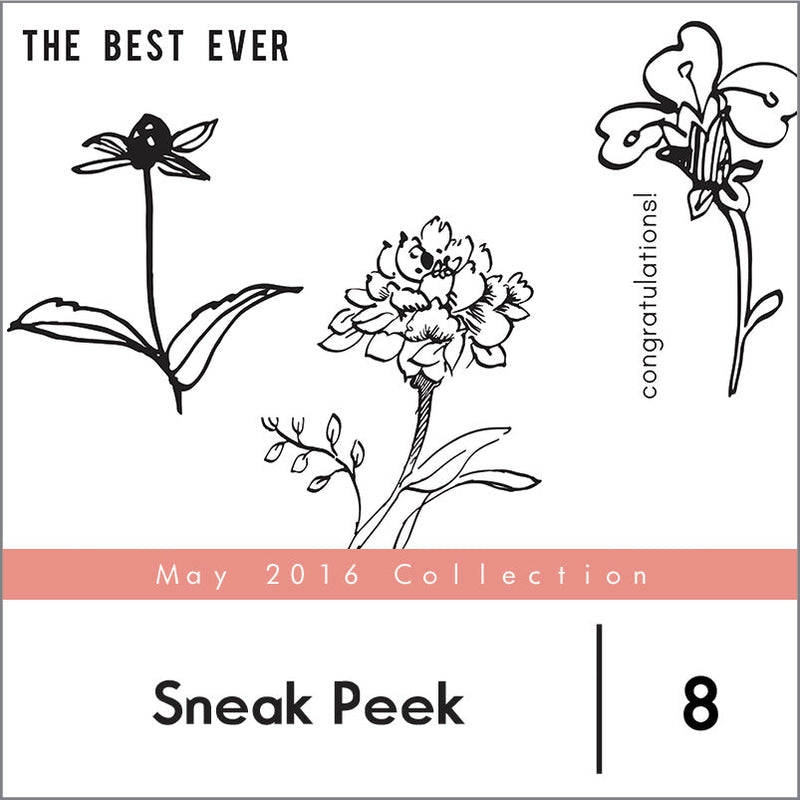 May 2016 Release Sneak Peek Day 2
