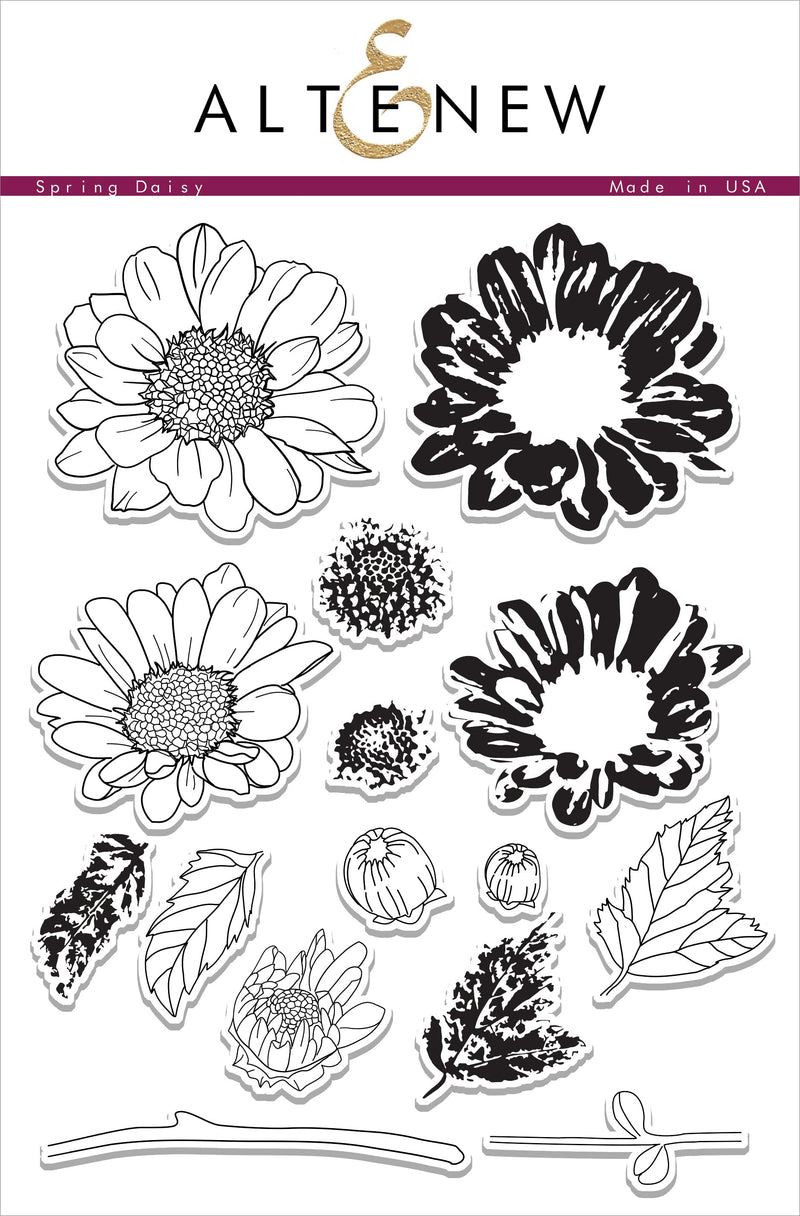 Stamp Focus: Spring Daisy + MISTI Giveaway