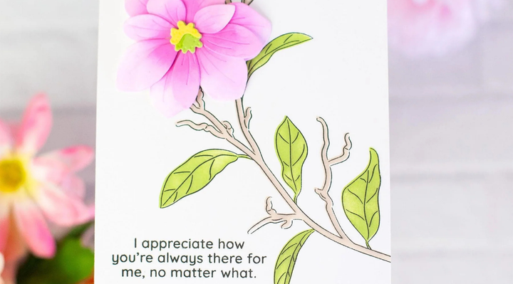 8 Best Encouragement Card Ideas