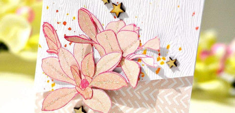 Designer Spot: Iwona Palamountain