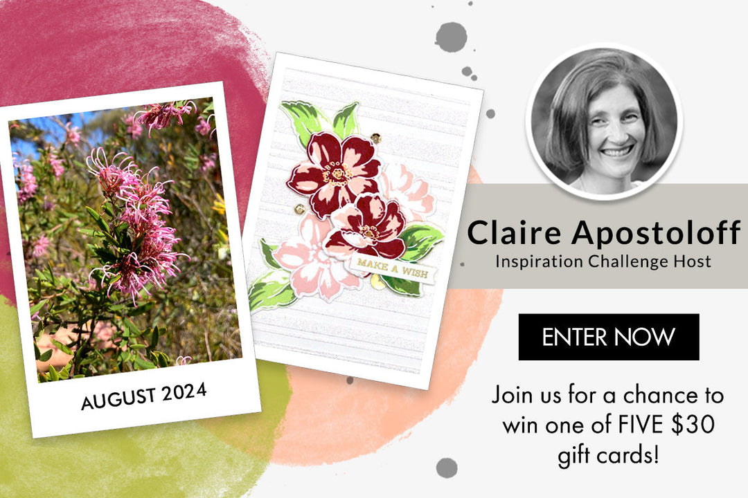 2 Quick But Gorgeous Cards with Basic Supplies YOU Already Have! | August 2024 Inspiration Challenge with Claire Apostoloff