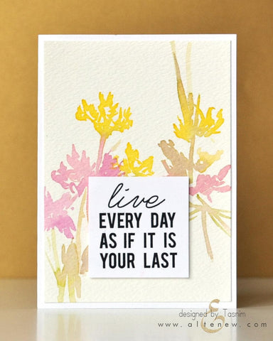 Focus: Thoughts & Reminders
