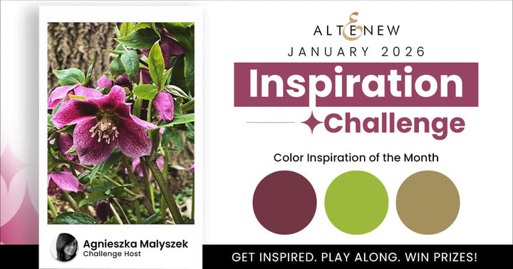 January 2026 Inspiration Challenge