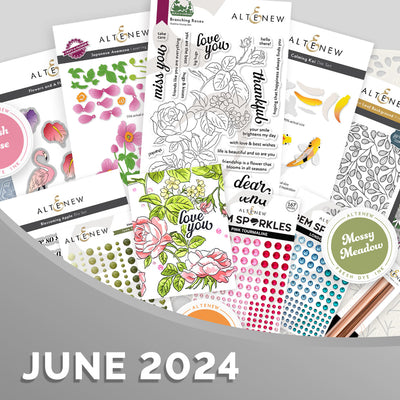 June 2024 Stamps, Dies, Embellishments