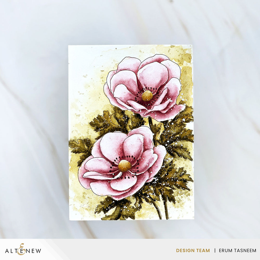 Watercolor Compacts - The Full Collection - Altenew