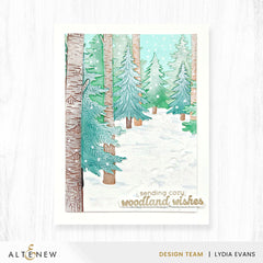 Snowy Footpath 3D Embossing Folder