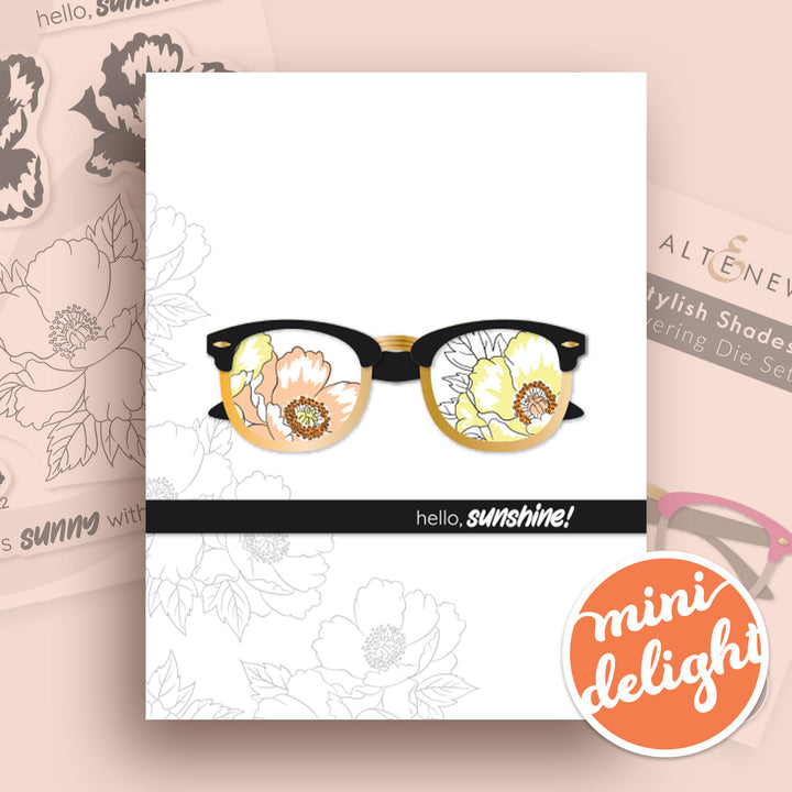 Mini Delight Monthly Subscription Plan