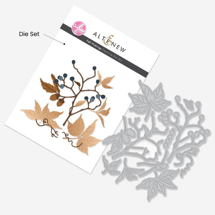 Creative Cuts Monthly Subscription Plan