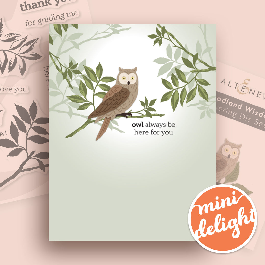 Mini Delight Monthly Subscription Plan