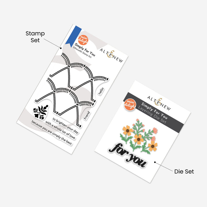 Mini Delight Monthly Subscription Plan