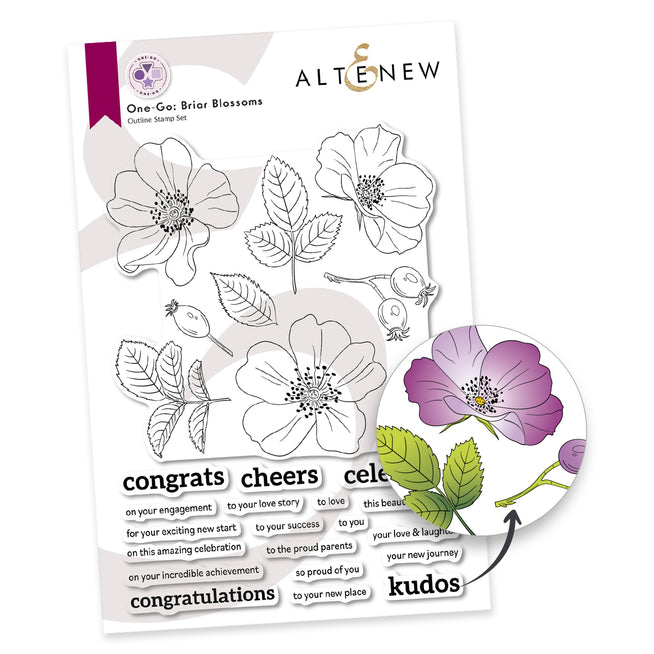 Altenew One-Go Briar Blossoms stamp, die, stencil, and embossing folder set with floral design on 6x8 inch sheet.
