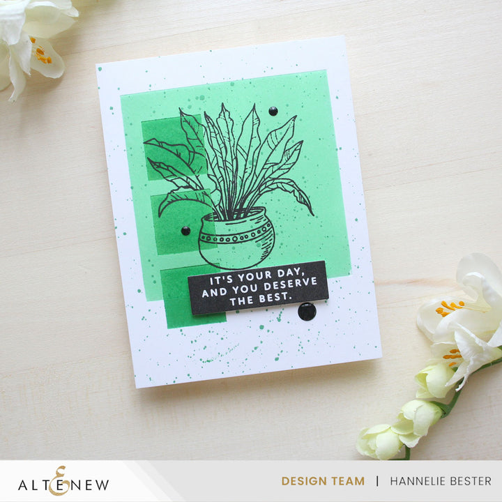 Solid Sentiments Starter Bundle - Altenew