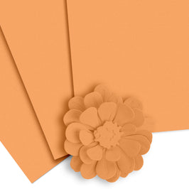 Crafty Necessities: Chamomile Cardstock (10 sheets/set) - Altenew