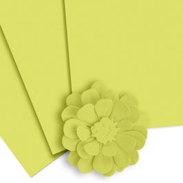 Crafty Necessities: Limeade Cardstock (10 sheets/set) - Altenew