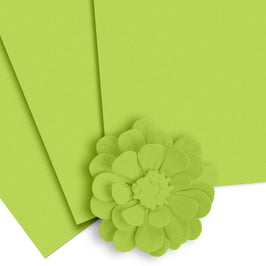 Crafty Necessities: Lime Cardstock (10 sheets/set) - Altenew