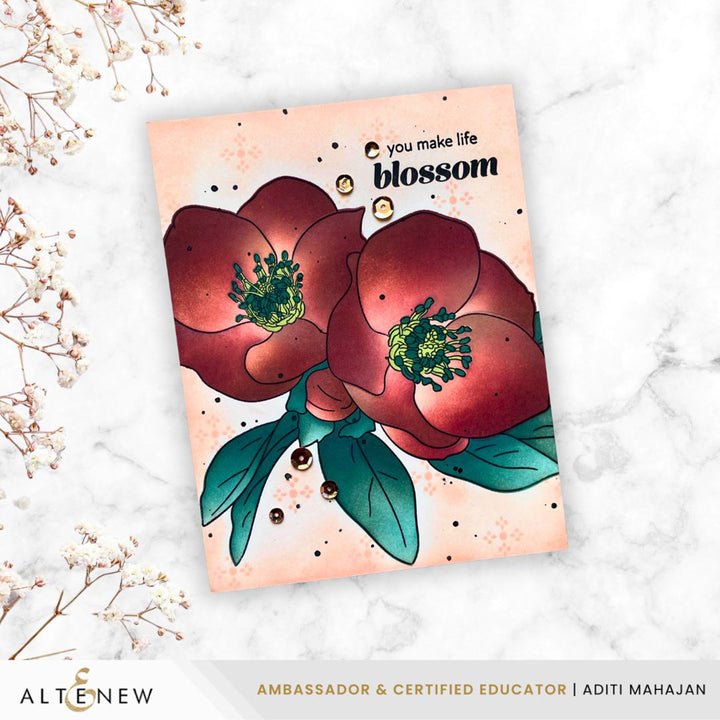 February 2026 Full Release Bundle