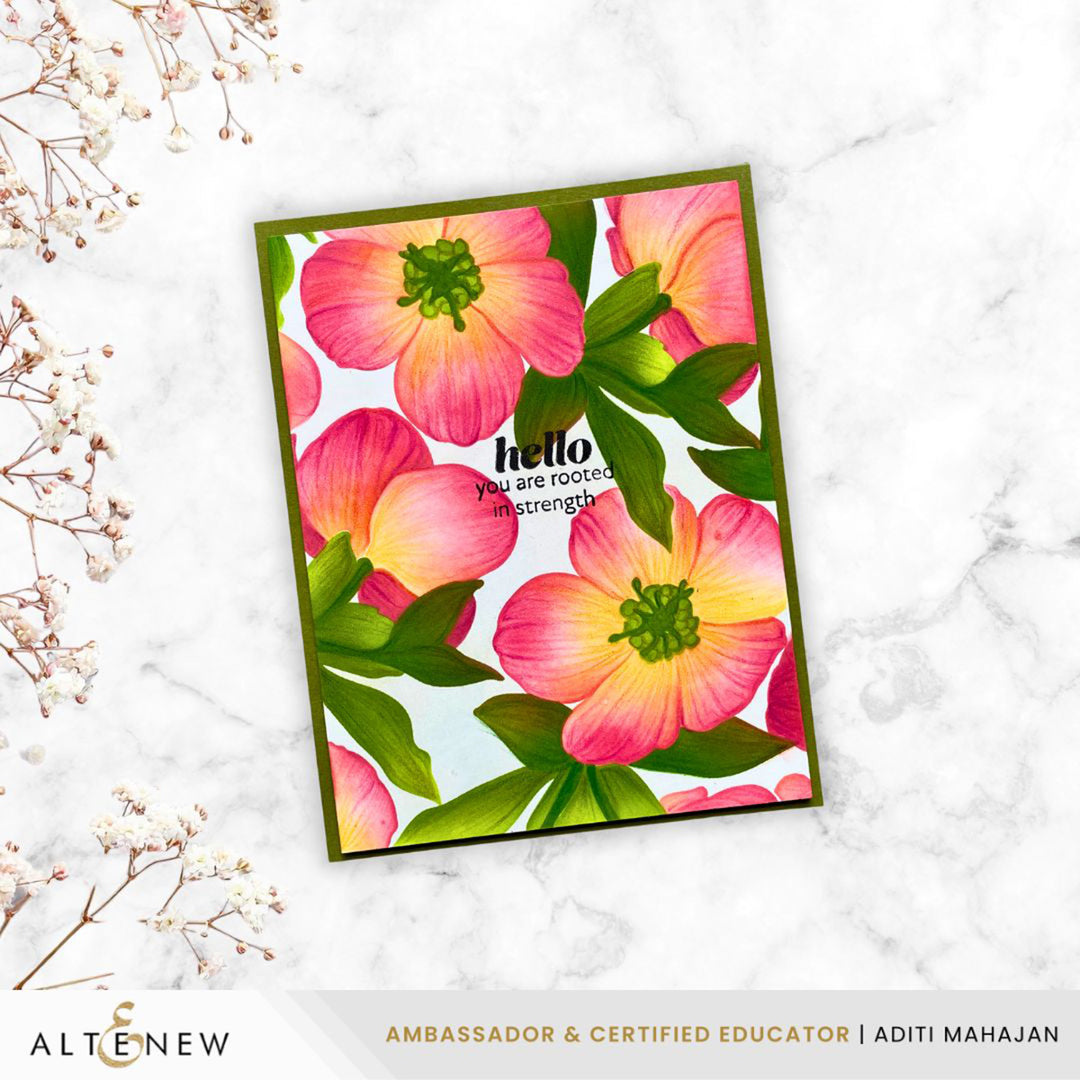 February 2026 Full Release Bundle