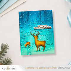 Snowy Footpath 3D Embossing Folder