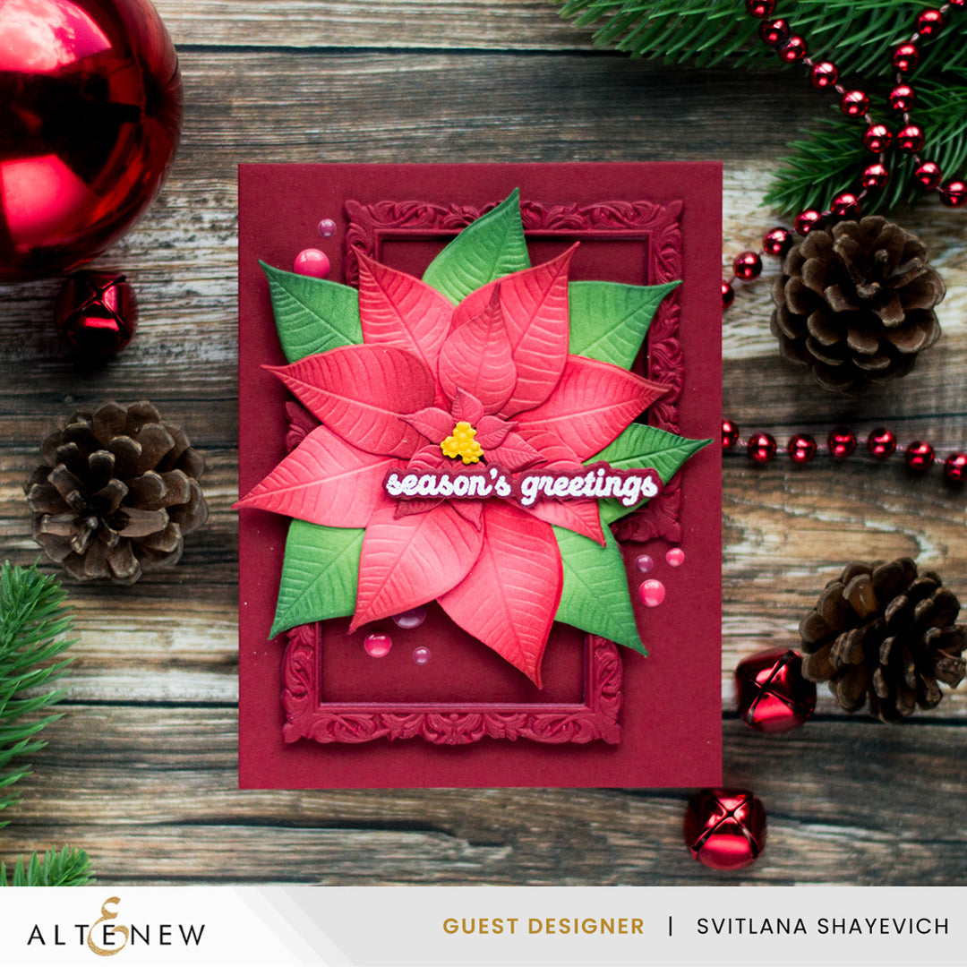 Decorative Frames 3D Embossing Folder & Die Set