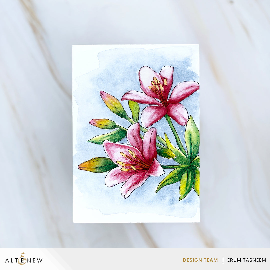 Watercolor Compacts - The Full Collection - Altenew