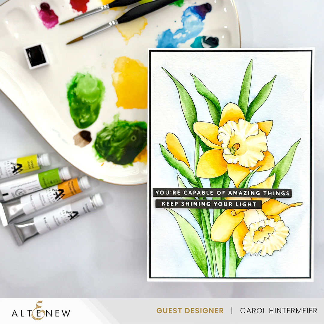 Palette Perfection Artists' Watercolor Tube Bundle