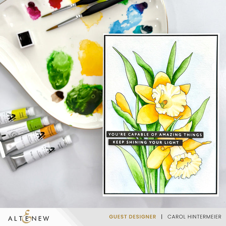 Palette Perfection Artists' Watercolor Tube Bundle