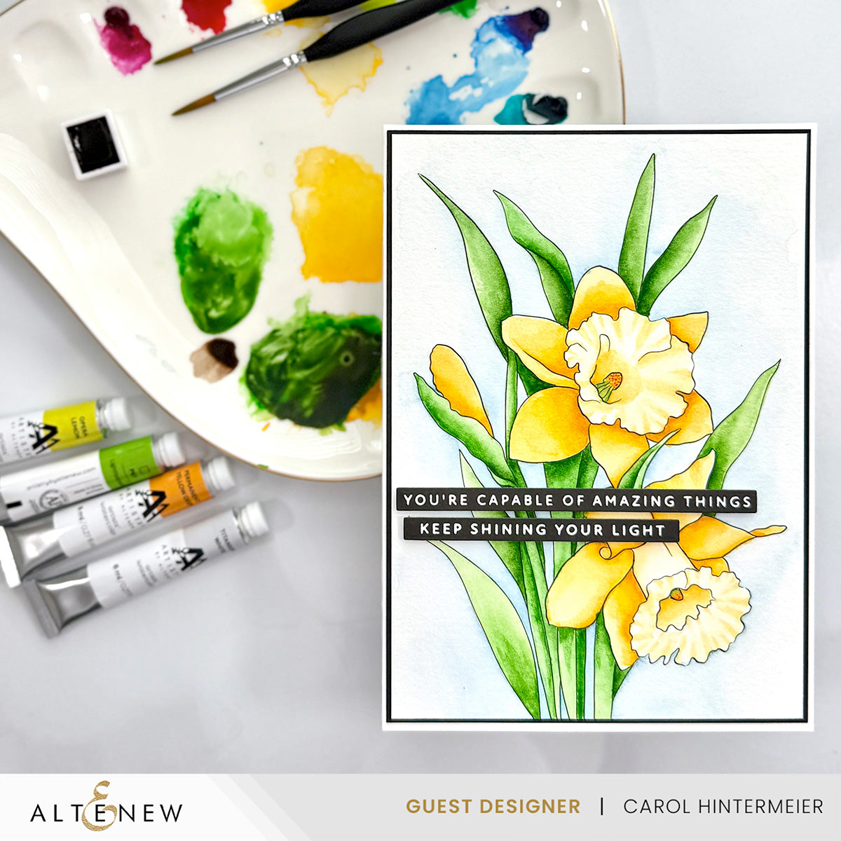 Palette Perfection Artists' Watercolor Tube Bundle | Altenew
