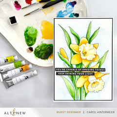 Palette Perfection Artists' Watercolor Tube Bundle