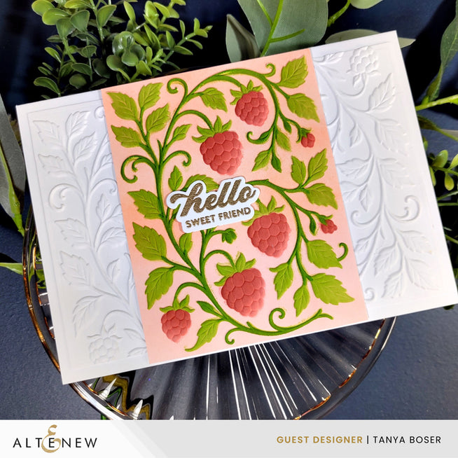 Altenew Raspberry Bliss stencil and embossing folder bundle featuring intricate floral designs on white craft paper.