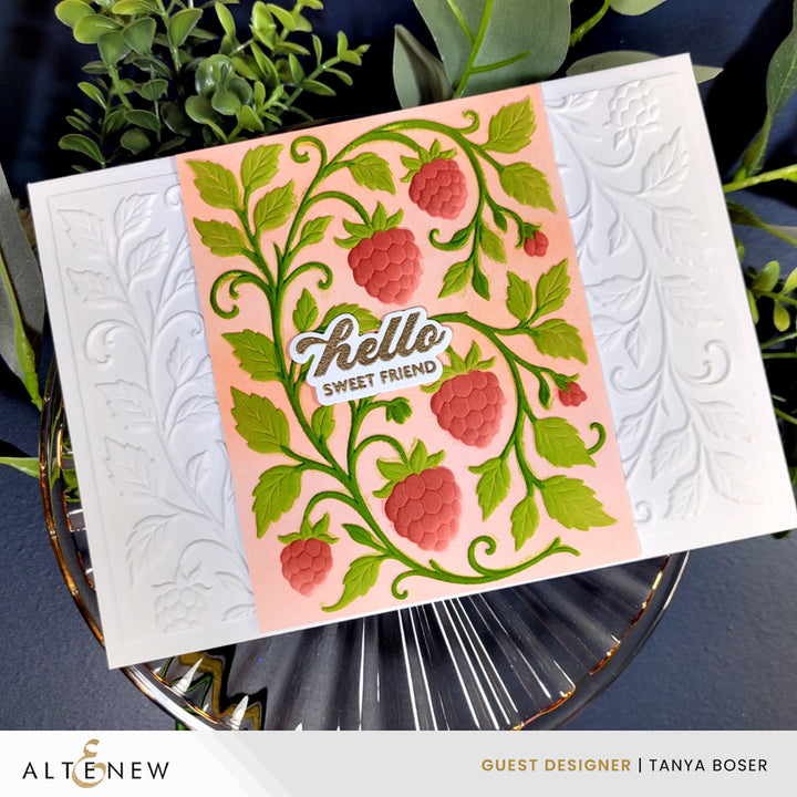 Raspberry Bliss 3D Embossing Folder