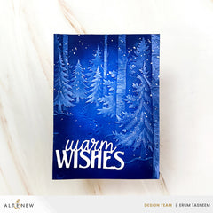 Snowy Footpath 3D Embossing Folder