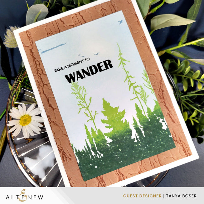Altenew Woodland Silhouette clear stamp set featuring weathered bark and nature-inspired woodland designs on transparent stamps.