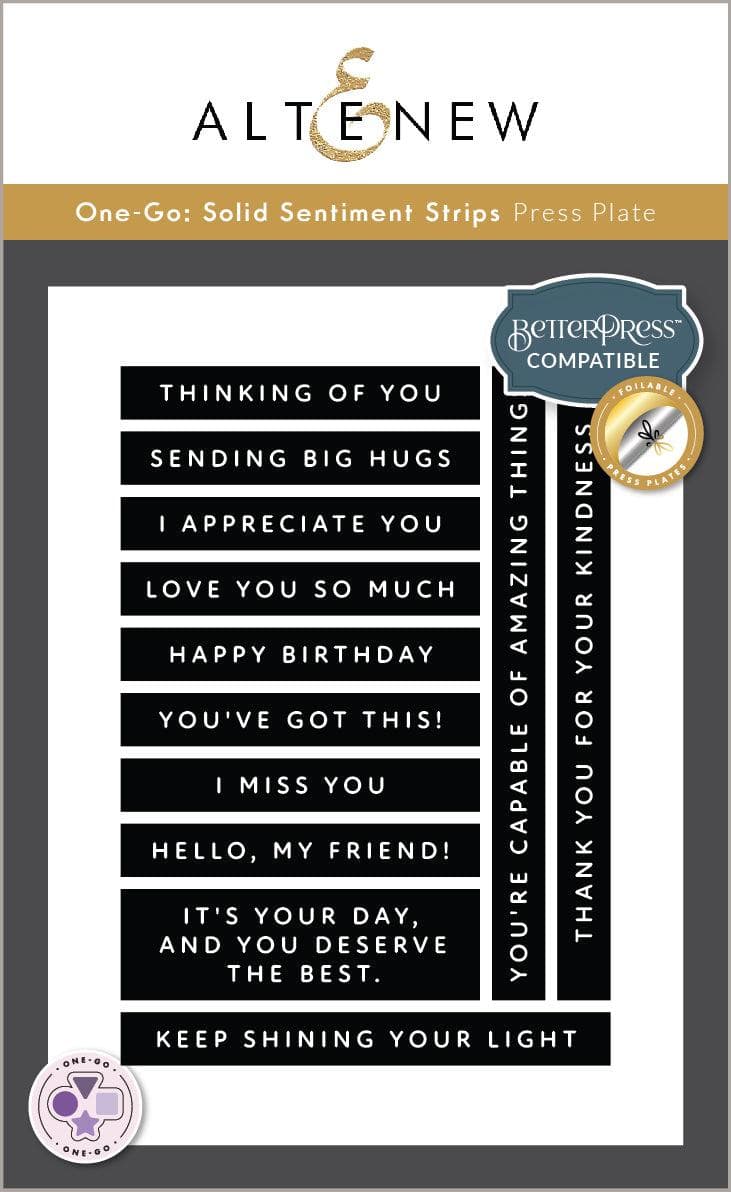 Solid Sentiments Starter Bundle - Altenew