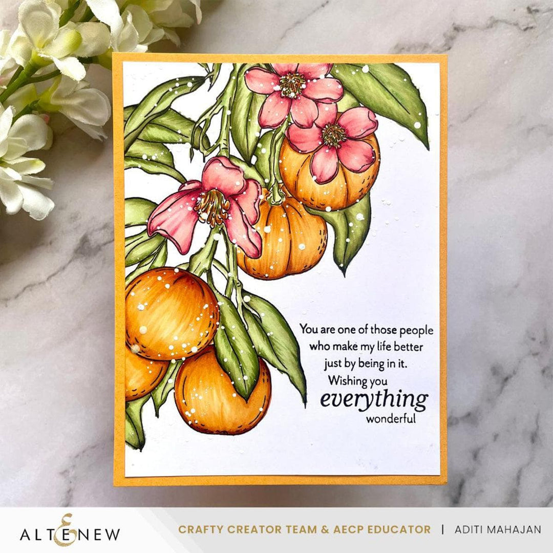 Cottage Garden Artist Alcohol Ink Set N Bundle