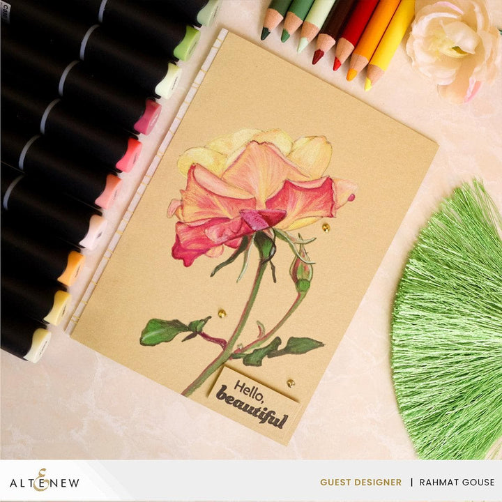 Cottage Garden Artist Alcohol Markers Set & Alcohol Ink Bundle