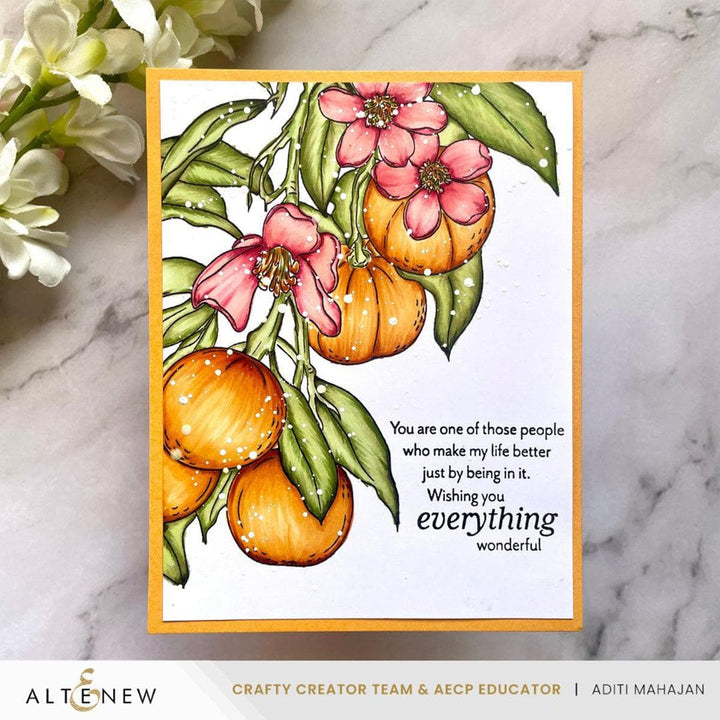 Cottage Garden Artist Alcohol Markers Set & Alcohol Ink Bundle