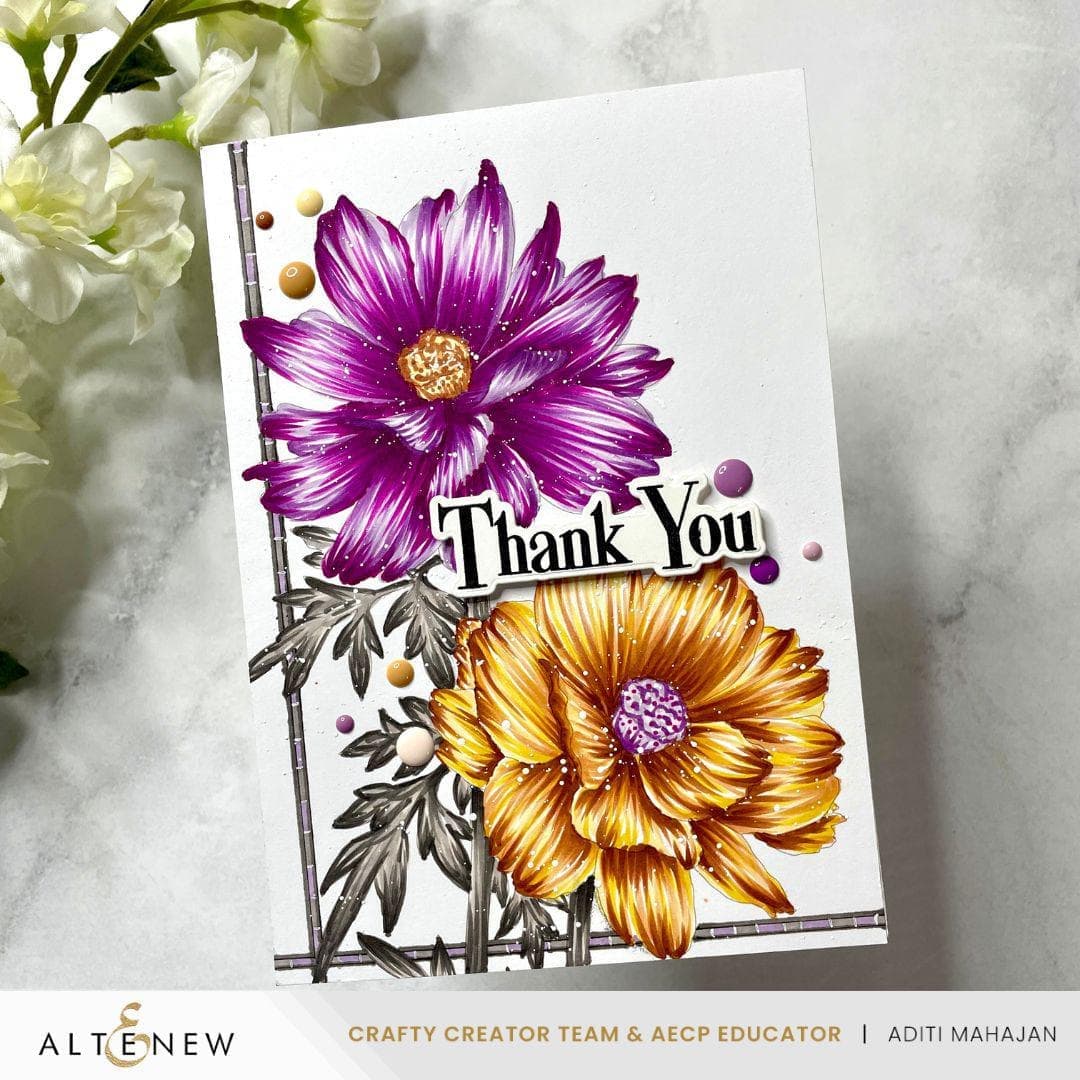 Artist Alcohol Markers Set D & Botanical Elegance Alcohol Marker Coloring Sheets Bundle