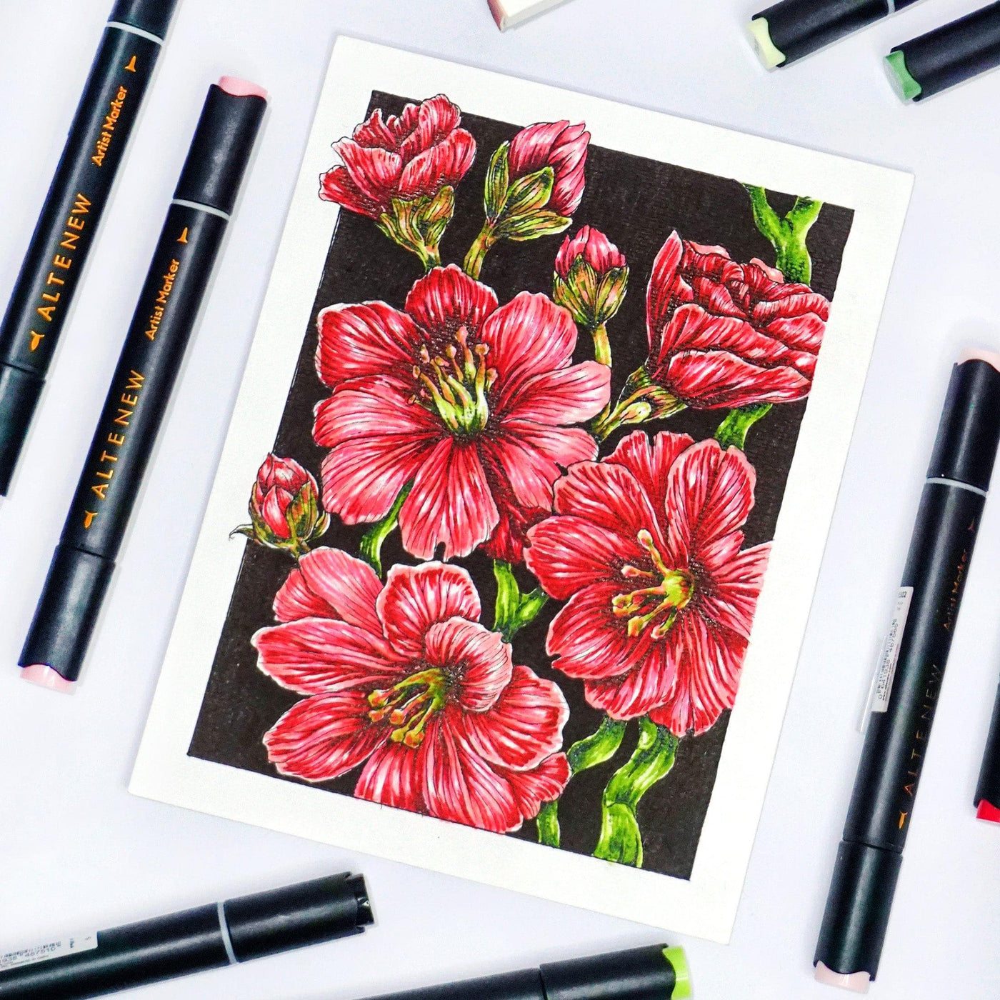 Artist Alcohol Markers Red Cosmos Set