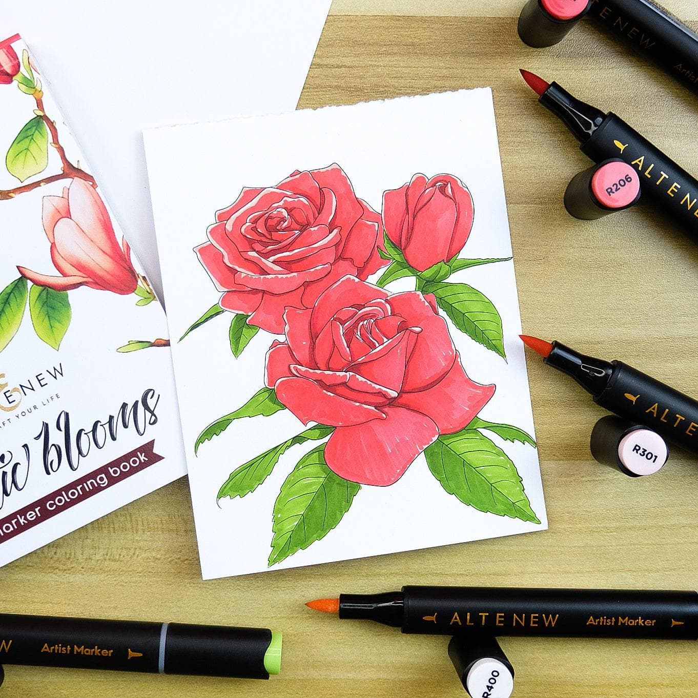 Artist Alcohol Markers Red Sunset Set