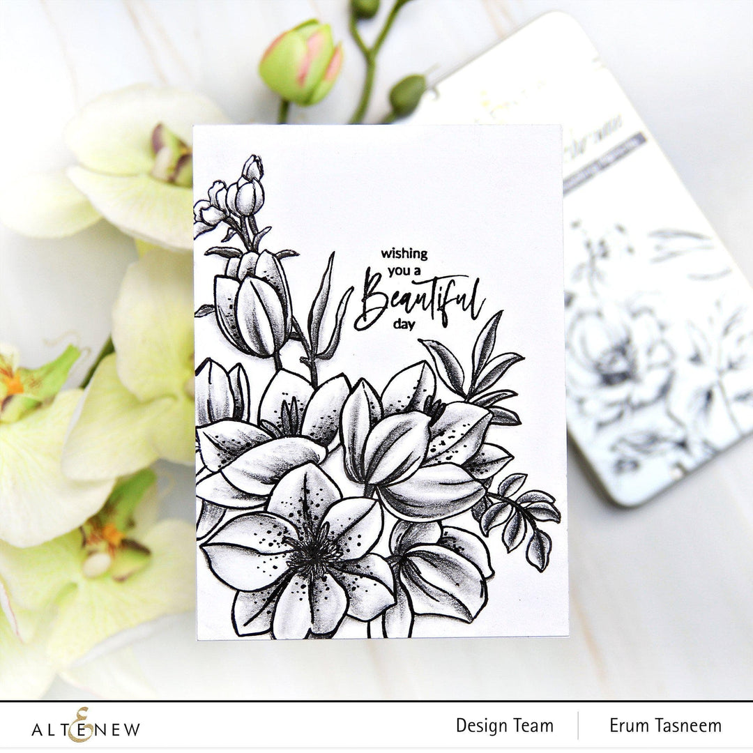 Shangzhi Pearl Pen Industry Co.,Ltd Art Materials Monochrome Shading Pencils