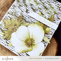 July 2024 Betterpress Plates Release Bundle