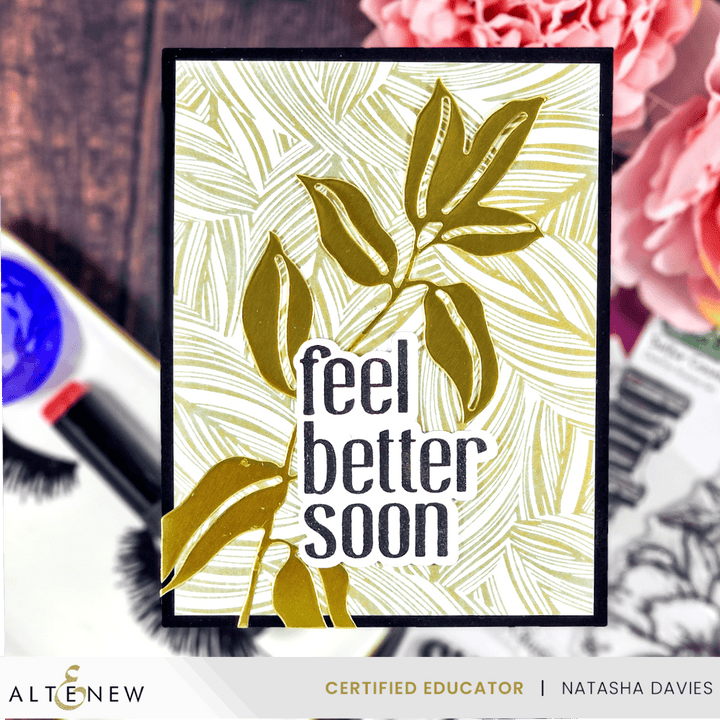 July 2024 Betterpress Plates Release Bundle