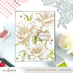 July 2024 Betterpress Plates Release Bundle